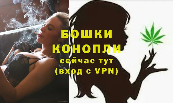 стафф Приозерск