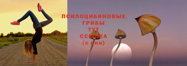 мдпв Покачи