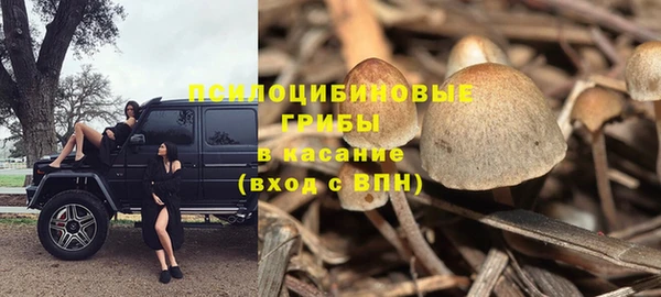 дурь Покровск