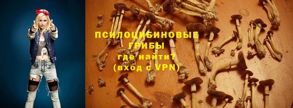 дурь Покровск